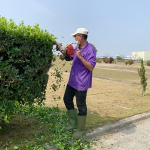 照片：園丁-阿泰